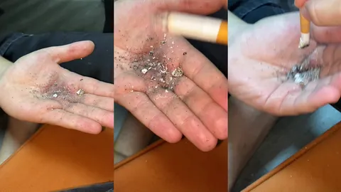 El kül tablası • Queen Aliss