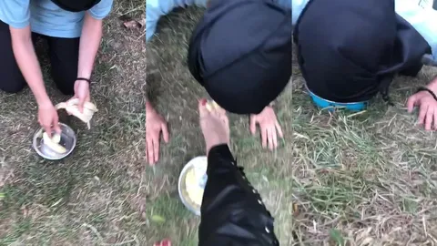 Public feeding • Goddess Inanna