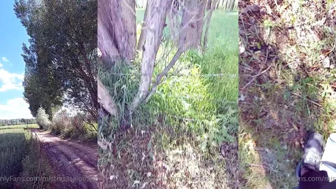 Açık hava aşağılaması • Queen Salome