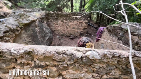 Ormanda vahşi seks | Antarism