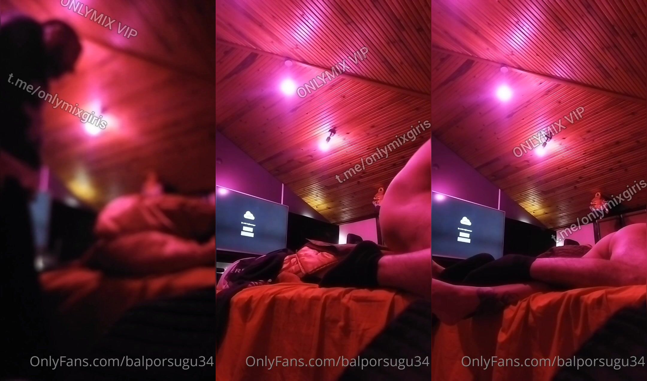 Bal Porsuğu Yarağı Sığdırıyor Yalıyor