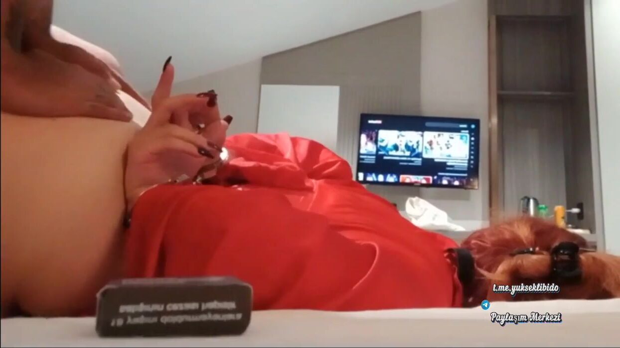 hottiekitty gag'la bağlanıp erkeğiyle sert sikişiyor