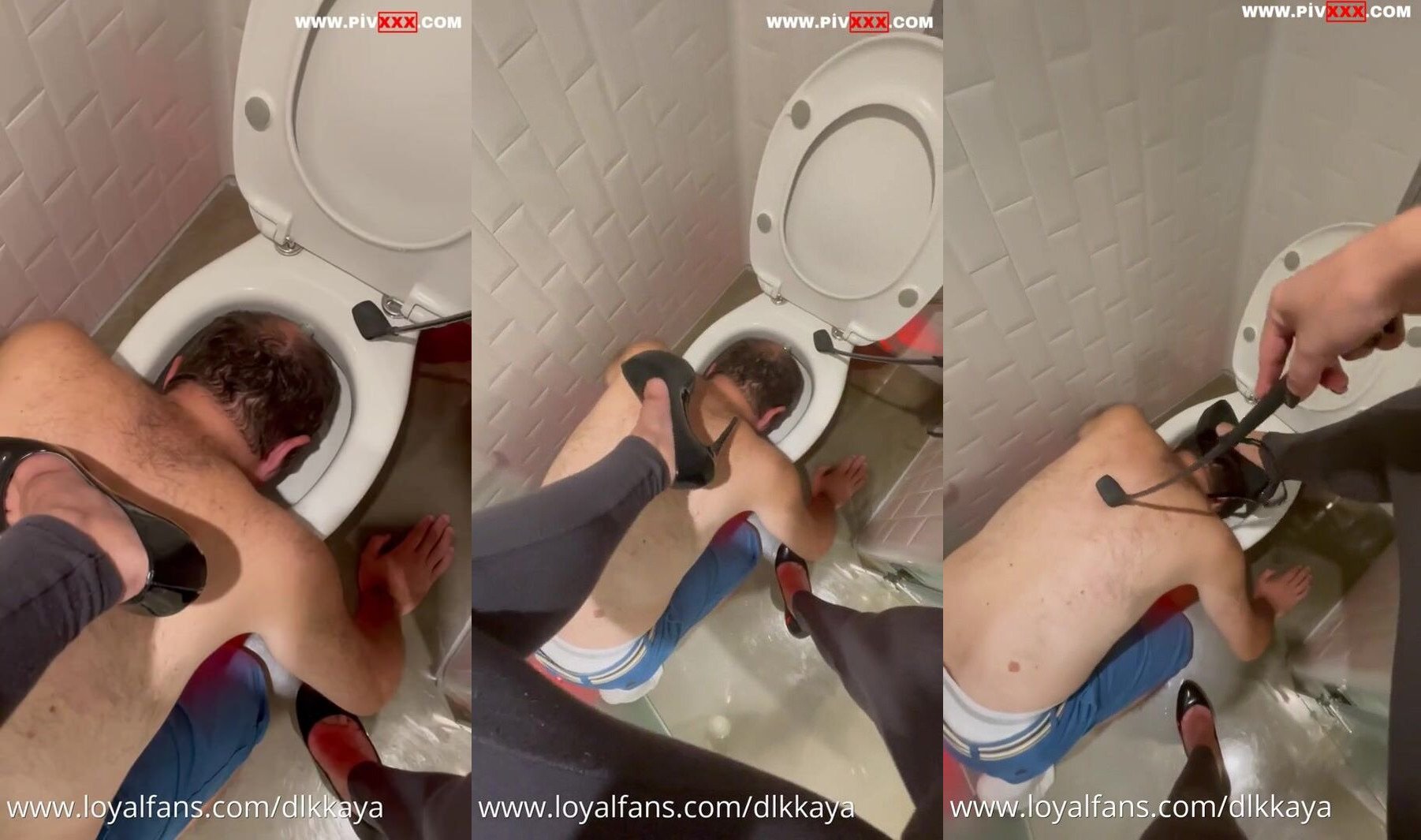 Tuvalet köpeğim