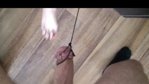 Bound my old slaves tiny cock