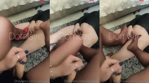 Domistre 1